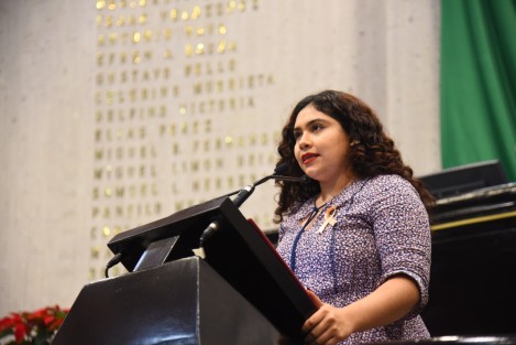 En el marco de la conmemoración del Día Internacional para la Eliminación de la Violencia contra la Mujer, la diputada Tania María Cruz Mejía se pronunció por legislar para hacer de Veracruz un espacio seguro para las mujeres y las niñas.
