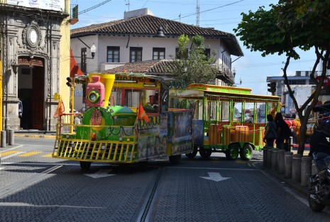 Personal de los famosos Piojitos de la ciudad de Xalapa, salieron a recorrer el centro de la ciudad para mostrar que ya se encuentran listos para las fiestas navideñas.