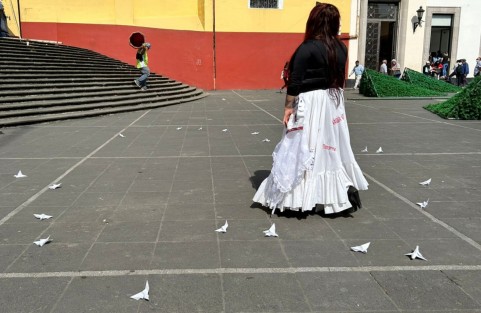 Llevaba una falda de danza folclórica con la fotografía y los nombres bordados de algunas víctimas, para recordar a las que no están, pues no solo son un número. La activista indicó que hasta el momento se contabilizan 59 desapariciones de mujeres y 48 feminicidios en Veracruz, durante este año.