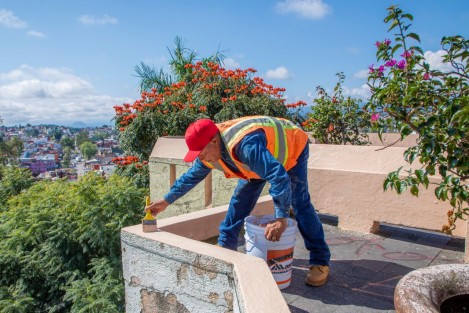 Para conservar la imagen urbana en la ciudad, el Ayuntamiento exhorta a la población a ser cuidadosa y respetuosa de las labores que se realizan tanto en la instalación de mobiliario, como en la rehabilitación de parques y jardines, pues cada planta u elemento de ornato que se instala, representa recursos públicos que se erogan para disfrute de todas y todo.