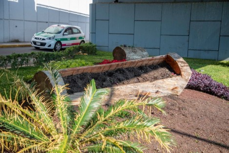 Lamentablemente, esta mañana la Dirección de Medio Ambiente reportó la sustracción de plantas de Nochebuena en las áreas jardinadas ubicadas en la avenida Enrique C. Rébsamen, por lo que anunció que se reforzarán las medidas de vigilancia y se actuará contra quien o quienes resulten responsables. 