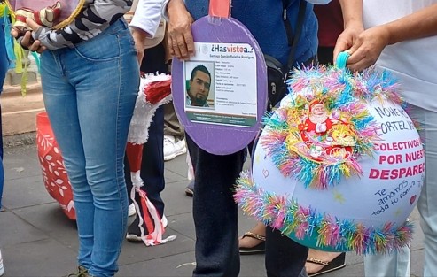 Integrantes de colectivos de búsqueda colocaron esferas con los rostros de sus familiares desaparecidos sobre una araucaria del parque Benito Juárez, en esta ciudad de Xalapa. 