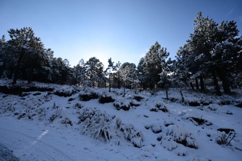 La tarde de ayer se registró la primera nevada de la temporada invernal 2022- 2023 en el Cofre de Perote. Autoridades de Protección Civil con anterioridad han emitido recomendaciones para quienes se acerquen a visitar el lugar. 