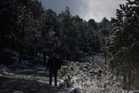 La tarde de ayer se registró la primera nevada de la temporada invernal 2022- 2023 en el Cofre de Perote. Autoridades de Protección Civil con anterioridad han emitido recomendaciones para quienes se acerquen a visitar el lugar. 