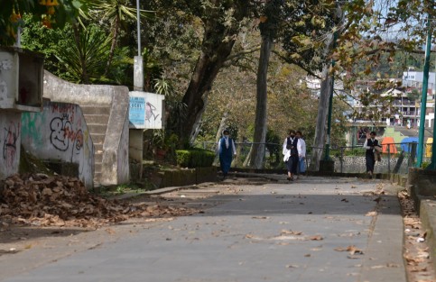 Administraciones municipales van y vienen en Xalapa y sin embargo el Paseo de los Lagos nunca logra ser completamente saneado y rehabilitado. 