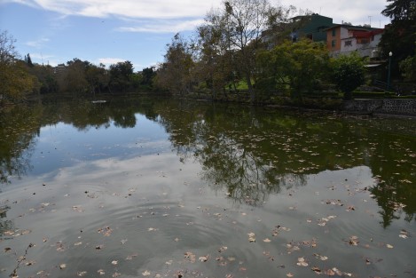 Administraciones municipales van y vienen en Xalapa y sin embargo el Paseo de los Lagos nunca logra ser completamente saneado y rehabilitado. 