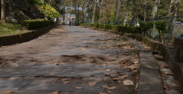 Además  de las estructuras, las calzadas están muy deterioradas, aunado al poco cuidado que tienen comerciantes y visitantes  de fines de semana, quienes generan gran cantidad de basura que termina afectando la fauna introducida al lugar. 