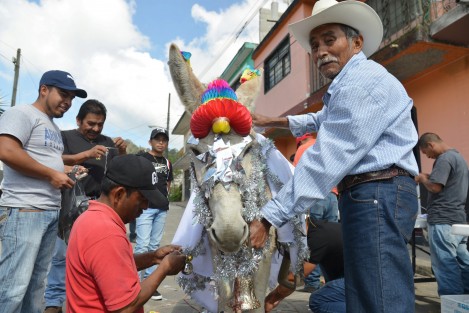 En el municipio de Mihuatlan Veracruz tiene una forma muy particular de festejar el día de Reyes, todo comienza desde muy temprano adornando a unos burritos  y caballos  que cumplen la  función de elefante y camello dónde habrán de repartir juguetes a todos los niños de este municipio.