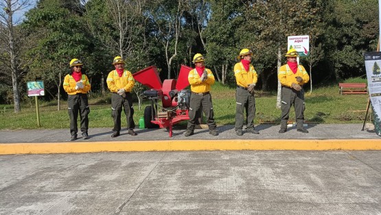 En el parque Natura de la ciudad de Xalapa, el titular de Medio Ambiente, Juan Carlos Contreras Bautista, inauguró la campaña Recicla tu navidad; donde árboles navideños serán triturados para hacer composta. Al evento asistieron el titular de la Promotoría y Desarrollo Forestal de CONAFOR, Héctor Mota Velasco, el diputado Paul Martínez Marie, Waltraud Martínez Olvera y más.