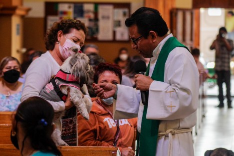 En la festividad de San Antonio Abad, el párroco José Luis Ortiz, impartió la bendición  a las mascotas, tradición que repetía cada año también en la fiesta de San Francisco de Asís, el 4 de octubre. 