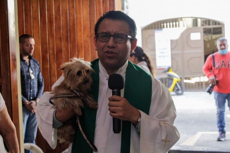 En el mes de febrero el Padre Ortiz Gómez cambiará de parroquia a Nuestra Señora de Guadalupe de Coatepec, como parte de las rotaciones de sacerdotes que se hacen en Arquidiócesis. No cabe duda que el sacerdote llevará a su nueva parroquia esta tradición-