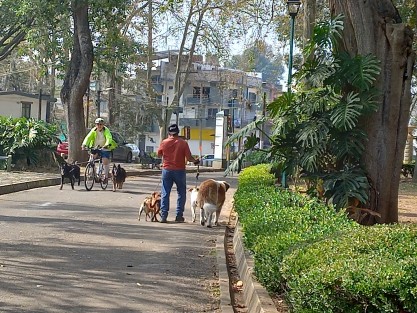Uno de los espacios más recurridos en Xalapa para pasear los canes, es el parque Los Berros. Sin embargo no todos los propietarios asumen la responsabilidad que conlleva hacerse cargo de un lomito.