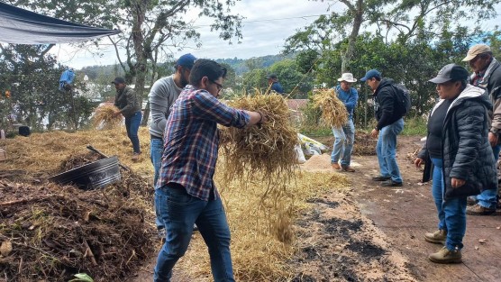 El Tequio Agrícola de este fin de semana se llevó a cabo en los municipios de Chinampa de Gorostiza, Tantoyuca, Álamo, Benito Juárez, Chicontepec, Zontecomatlán, Coatzintla, Zozozolco, Papantla, Tlapacoyan, Martínez de la Torre, Naolinco, Ayahualulco, Ixhuacán de los Reyes, Emiliano Zapata, entre otros.