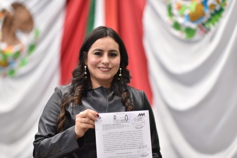 Grupo Legislativo del Partido Revolucionario Institucional (PRI) presentaron al Pleno de la LXVI Legislatura una iniciativa con proyecto de decreto que propone instaurar en la Ley de Premios del estado la Medalla Jesús Reyes Heroles, para reconocer -con su otorgamiento- a los ciudadanos o instituciones mexicanos destacados por sus aportaciones a la investigación histórica, al mejoramiento de la educación, a la cultura política o a la democracia.
