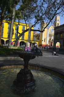 Un hombre escribe poemas en piso del parque Juárez de la ciudad de Xalapa, mientras unas palomas toman su baño.