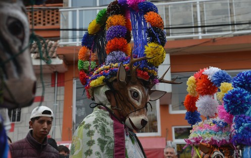 En la pequeña localidad de Alto Tío Diego, municipio de Tepetlán, por muchos años sólo los hombres podían participar en los festejos del carnaval, pero por fortuna, eso ha cambiado gracias a ellas.  