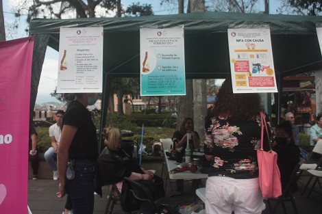 Con menos donadores que en otras ocasiones, se llevó a cabo el Trenzatón de la Fundación LEPACH, en el parque Juárez de Xalapa. 