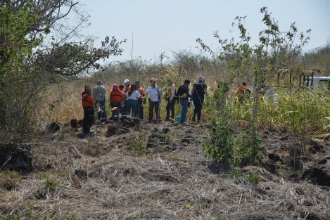 Extraoficialmente dieron por cerrado el punto donde en días pasados encontraron restos de al menos tres personas, en la barranca antes de entrar al fraccionamiento Cuatro Soles municipio de Naolinco. Hoy  personal de la Fiscalía  y escuadrón de nacional de Rescate regresaron al punto y volvieron a encontrar restos óseos. 