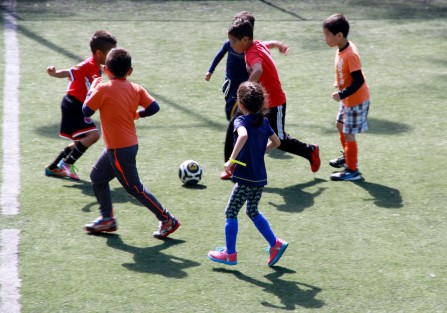 De acuerdo con el calendario de actividades programado por la Dirección de Cultura Física de Xalapa, en distintas disciplinas deportivas, este fin de semana se realizará la segunda jornada del Torneo Municipal Infantil Interligas Futbol 7, con  siete encuentros entre las 14:00 y las 18:00 horas en la Unidad Deportiva El Cafetal. 