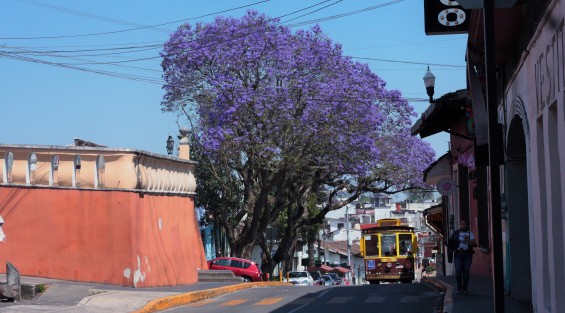 Ahí viene la primavera. 