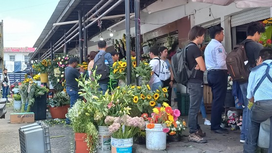 Juego de niños, o como se quiera llamar, pero la nueva moda de regalar flores amarillas el 21 de marzo, reactivó la economía de los floristas, quienes aprovecharon y pidieron hasta $40 pesos por una rosa, o $50 por un girasol. Los ramos más económicos $120. 