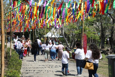 Con la llegada de la primavera, cuando el día y la noche duran exactamente lo mismo, se abrieron las puertas del Parque Takilhsukut para cientos de locales, nacionales y extranjeros que arribaron a iniciar un recorrido de aprendizaje en las 13 casas-escuela del Centro de las Artes Indígenas, así como a recargar energía en la zona arqueológica El Tajín. 
