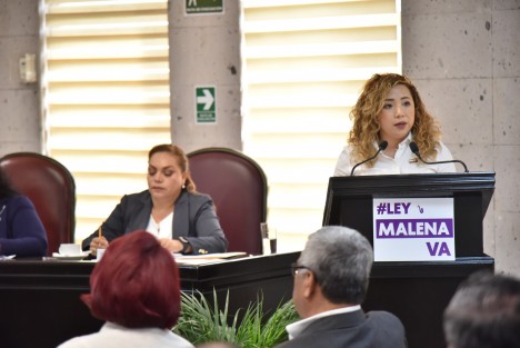 La diputada Itzel López López presentó una iniciativa de decreto que reformaría y adicionaría diversas disposiciones a la Ley de Acceso de las Mujeres a una Vida Libre de Violencia y al Código Penal, ambos del estado de Veracruz, con la finalidad de definir en la legislación la denominada Violencia Ácida, por razón de género contra la mujer, y establecer las penas a que se harían acreedores quienes cometan este delito.