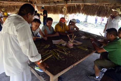 Miles se dieron cita en la Cumbre Tajín 2023 donde pudieron aprender en los diferentes talleres del parque en el Parque Temático Takilhsukut .