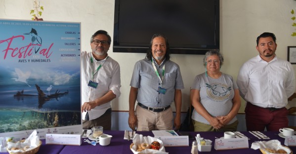 El Instituto de Ecología A.C, celebra su XXIV Aniversario del Festival de las Aves 
Playeras y Humedales, que tendrá lugar el día sábado 1 de abril en el 
Centro de Investigaciones Costeras la Mancha, en el Municipio de Actopan. 