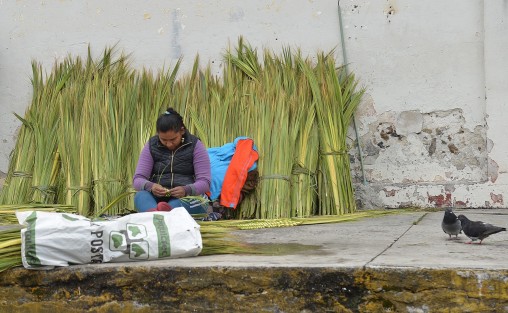 Vendedores de palma provenientes de Puebla, y locales, ya comenzaron con la venta de sus productos, que van desde palma simple y hasta los más elaborados. Comentan que estarán ahí hasta el próximo Domingo de Ramos. 

