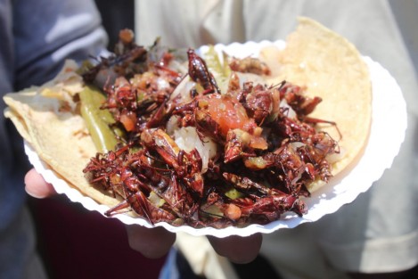 En la Plaza San José, el alcalde Ricardo Ahued inauguró la Feria del Taco, donde se encuentran de pastor y hasta de insectos.