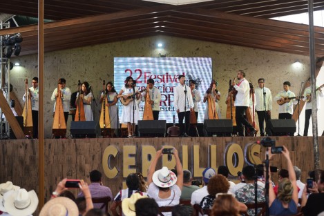 Músicos de varios municipios del estado participaron en el 22 Festival Internacional del Arpa de Cerrillos de Díaz, municipio de Alto Lucero, Ver.. Señalan que el rescate del arpa es fuerte en Xalapa, Coatepec y la Cuenca del Papaloapan y es un instrumento musical que es y será parte de la cultura veracruzana.