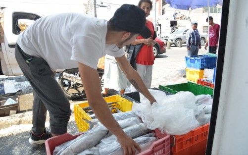 Comerciantes de pescaderías de la zona del Mercado la Rotonda se declaran listos para el fin de Semana Santa, que a su decir, es cuando llegan más clientes a comprar sus productos
