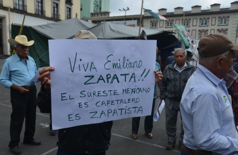 El presidente del Consejo Regional del Café de Coatepec, Cirio Ortiz y militantes de la CNOC, demandaron mejorar las condiciones de vida de las familias y orientar las políticas públicas hacia este sector, primero en conferencia de prensa y posteriormente en Plaza Lerdo.
