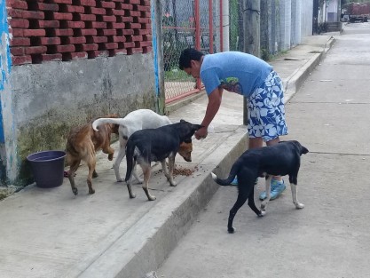 El viernes 15 de abril inicia la Semana Nacional de reforzamiento de vacunación antirrábica canina y felina. En Tlapacoyan se aplicará en Centros de Salud y puestos de vacunación itinerantes en todo el municipio.  

