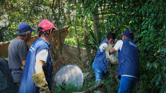 En la Jornada de Descacharrización que realizó el H. Ayuntamiento de Xalapa, a través de la Dirección de Salud, en la colonia Mártires de Chicago,se lograron sacar 7 toneladas de cacharros.