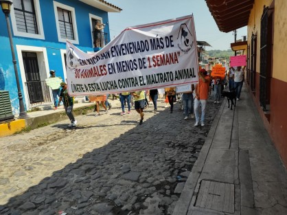 Integrantes de la agrupación Perros y Gatos de Xico AC  realizaron una marcha para dar a conocer los hechos registrados días a tras donde personas desconocidas envenenaron a 30 animales, entre ellos fauna silvestre.