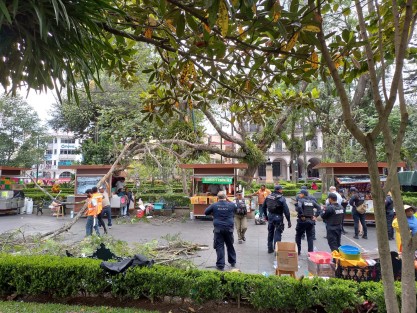 Además, para evitar mayores afectaciones, se acordonó la zona y a través de la Dirección de Medio Ambiente, se trabaja en el retiro de esta rama, la revisión del arbolado urbano y, en próximas horas, la poda preventiva en algunos ejemplares. 