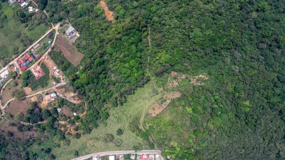 En la Sala de Cabildo, el Edil dio a conocer que el terreno se ubica al norte del fraccionamiento Barranca Honda; está catalogado como Área Natural Protegida y Zona de Reserva Ecológica Restrictiva, de acuerdo con el Programa de Ordenamiento Territorial del Municipio de Xalapa.