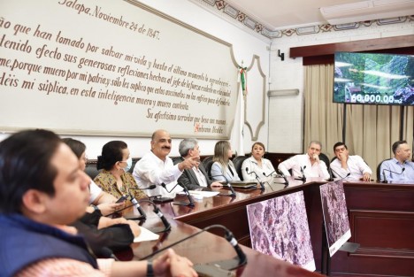 En la Sala de Cabildo, el Edil dio a conocer que el terreno se ubica al norte del fraccionamiento Barranca Honda; está catalogado como Área Natural Protegida y Zona de Reserva Ecológica Restrictiva, de acuerdo con el Programa de Ordenamiento Territorial del Municipio de Xalapa.