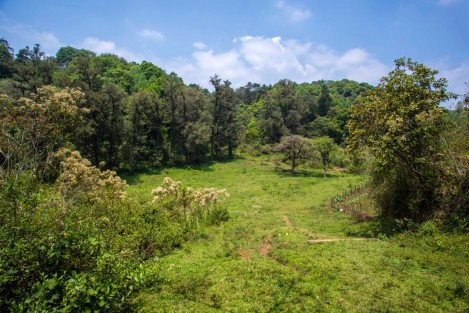 Con el propósito de brindar a la ciudad y a la comunidad un nuevo pulmón natural, proteger el patrimonio ambiental de Xalapa y consolidar a la ciudad como un municipio verde, el presidente municipal Ricardo Ahued Bardahuil presentó a integrantes del Cabildo el predio de casi 60 mil metros cuadrados que recientemente adquirió el Ayuntamiento para conservar como área natural.