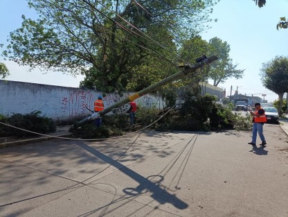  Con el fin de prevenir incidentes ante las afectaciones generadas por evento de Norte, personal de la Dirección de Medio Ambiente realizó trabajos de poda e intervención del arbolado urbano con riesgo de caída en avenidas principales como la Villahermosa.
