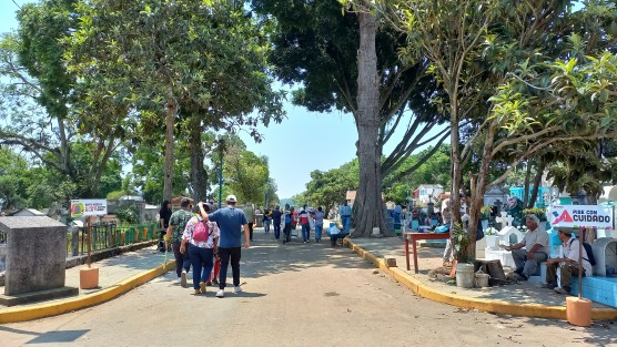 Pese a no ser día de descanso obligatorio, muchas dependencias dieron el día libre a los empleados, por lo que se pudo ver afluencia de visitantes en los panteones de la capital, e instalación de comerciantes a las afueras de los mismos. 