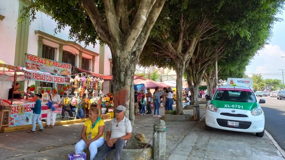Pese a no ser día de descanso obligatorio, muchas dependencias dieron el día libre a los empleados, por lo que se pudo ver afluencia de visitantes en los panteones de la capital, e instalación de comerciantes a las afueras de los mismos. 