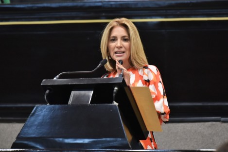 La diputada Ana Miriam Ferráez Centeno presentó al Pleno de la LXVI Legislatura la iniciativa que prevé modificar los Códigos Civil y Penal del estado para incorporarles la hipótesis del delito de feminicidio en lo concerniente a las niñas y adolescentes y, en consecuencia, sancionar severamente a quien por razones de género le prive de la vida.