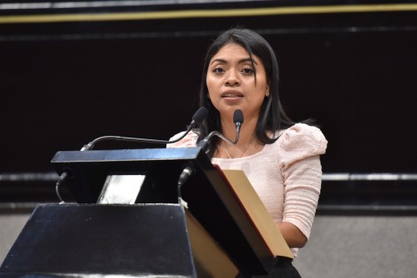 Para proteger a la población y al medio ambiente de los efectos de la utilización de la pirotecnia, la diputada Elizabeth Cervantes de la Cruz presentó una Iniciativa para actualizar la Ley Estatal de Protección Ambiental.