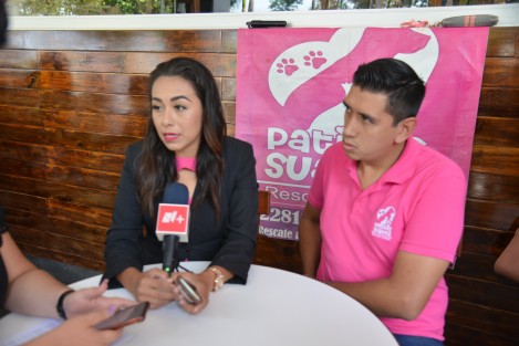 La fundadora y encargada del refugio canino Patitas Suaves, María del Rosario Garduza Calderón, informó que con las múltiples pruebas que tienen buscarán que se aplique la ley en contra del responsable de atropellar a la perra callejera Sol.