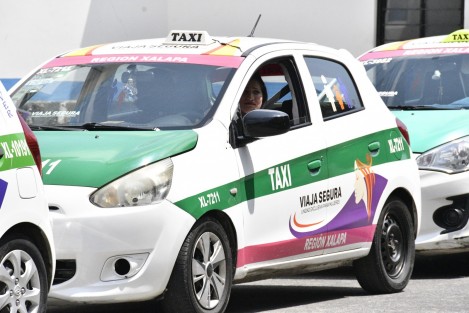 Las unidades están al servicio únicamente de personas del sexo femenino, quienes podrán ir acompañadas de menores de 12 años; serán manejadas por conductoras capacitadas y podrán distinguirse por el logotipo Viaja Segura, unidad exclusiva para mujeres, respetando la cromática autorizada por la DGTE.