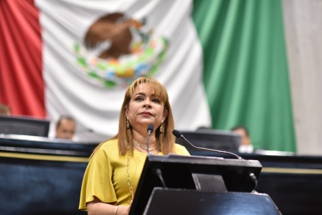 La diputada Citlali Medellín Careaga propuso reformas a distintos ordenamientos estatales a fin de evitar el incremento de la pérdida de fauna silvestre en las carreteras de la entidad.