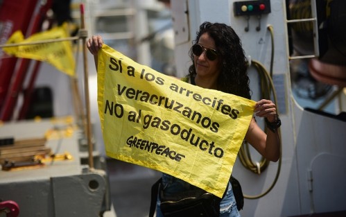 Ecologistas piden que se elabore un nuevo estudio de impacto ambiental sobre el proyecto de ampliación del Puerto de Veracruz; de igual manera, solicitan que se anule la ilegal autorización emitida por la Semarnat y la intervención diplomática y técnica de la Convención Ramsar sobre humedales de importancia prioritaria internacional. 